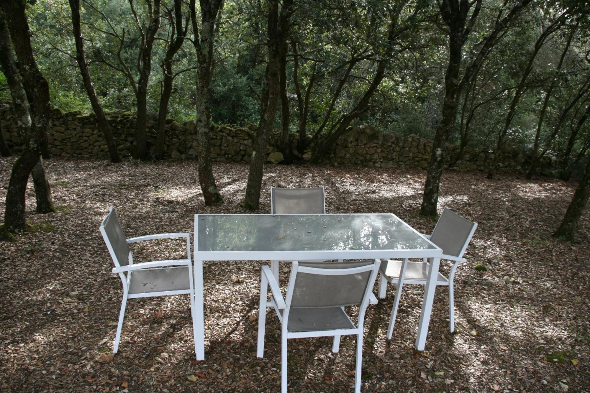 Couette-café La Maison Du Petit Bois *